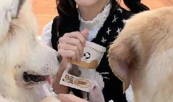 每日黑料网：马上被黑的就是你了，网页里的八卦真是太心累！