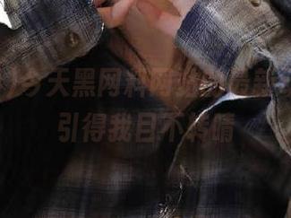 今天黑网料网站的最新动态，吸引得我目不转睛
